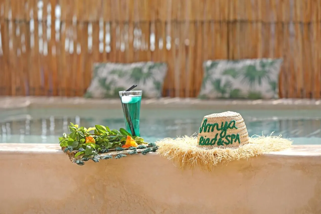 Riad Amya & Spa Marrakesh